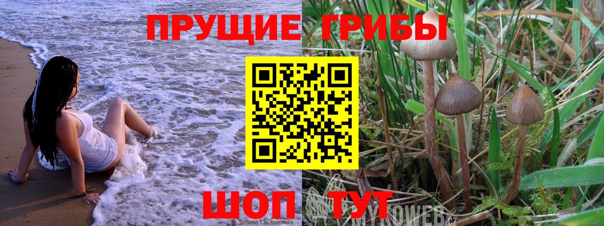 Галлюциногенные грибы Magic Shrooms Солнечногорск