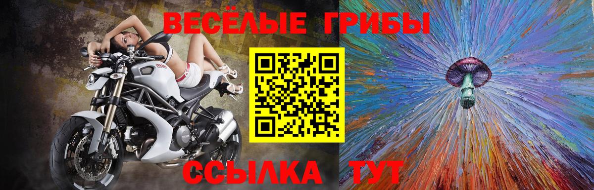 как найти закладки  Псилоцибиновые грибы Psilocybe  Вход с VPN  Солнечногорск 